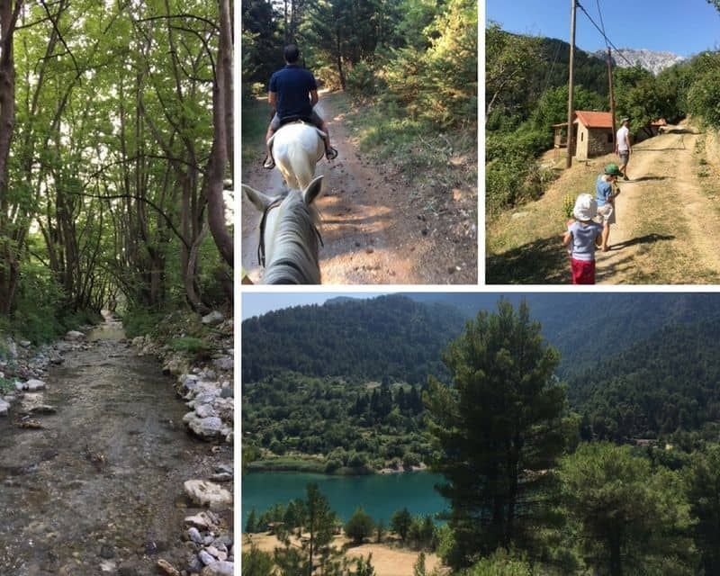 Sports activities in Kalavryta, hiking, horse riding