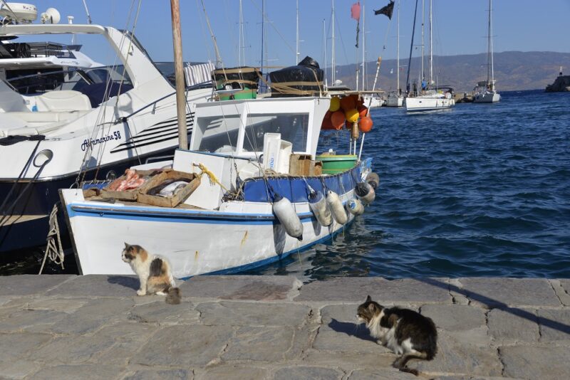Greece : a day in Hydra