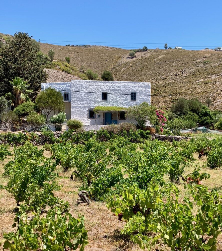 vineyard house in Patmos charm greek islands