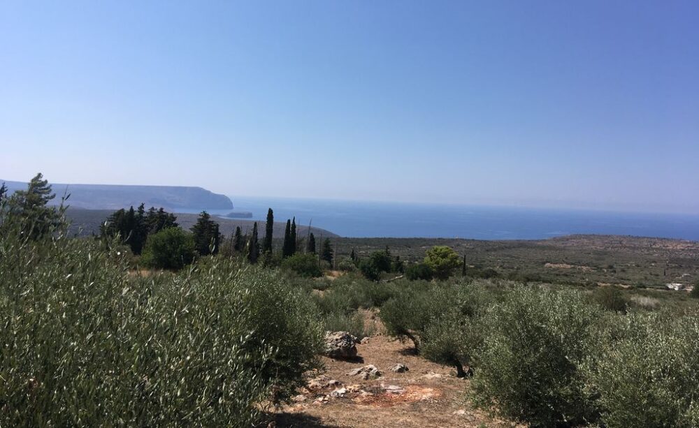 Magne landscape, olive trees, mountains and sea