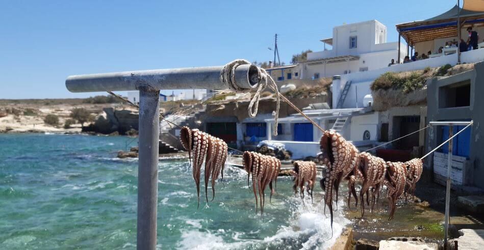 octopus drying in Mandrakia, Milos