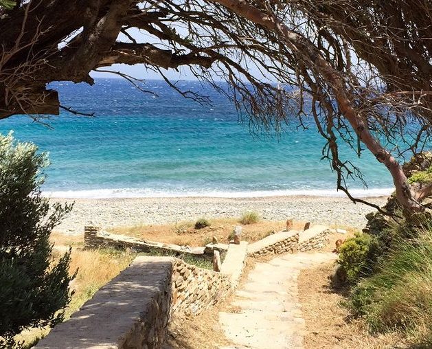 chemin menant à une plage à Tinos en Grèce. mur en pierre, olivier, camaieu de bleu mer et ciel