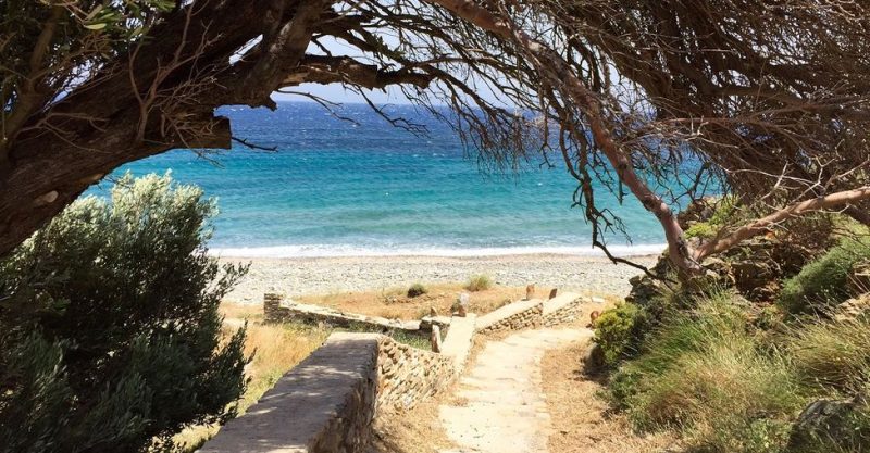 chemin menant à une plage à Tinos en Grèce. mur en pierre, olivier, camaieu de bleu mer et ciel