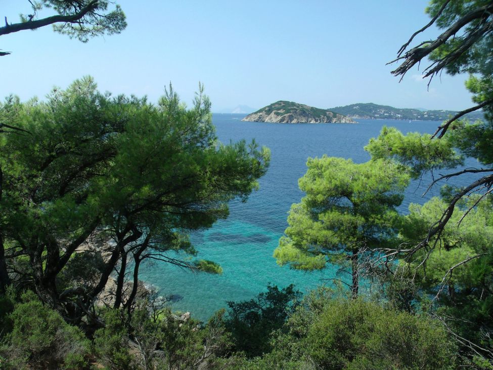landscape from a coastal path in Skiathos: green trees and blue sea in the background