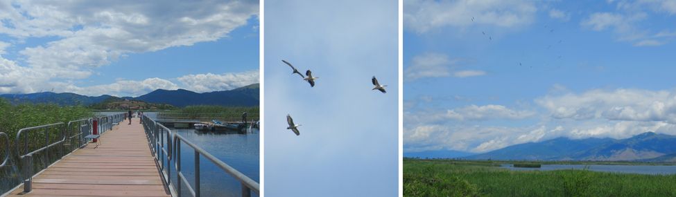 Agios Achillios bridge over Little Lake Prespa, flight of pelicans  